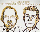 James Allison, Tasuku Honjo win Nobel Medicine Prize for cancer research